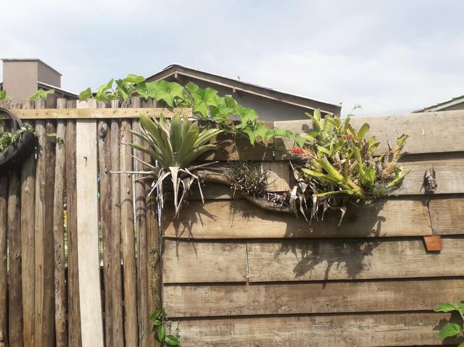 Casa Proximo A Praias, Trilhas E Cachoeiras. Garopaba Ngoại thất bức ảnh