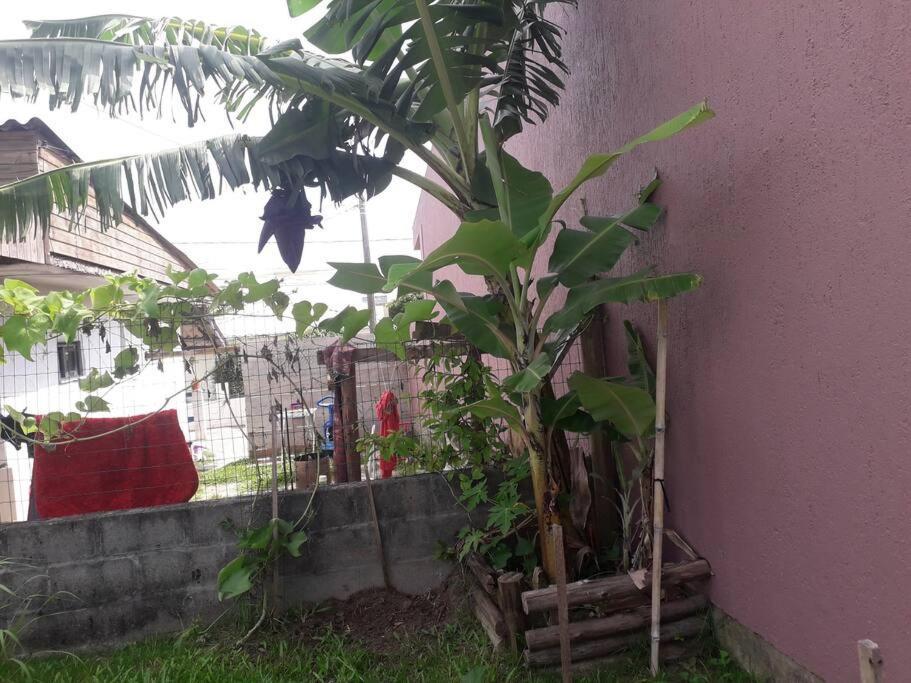 Casa Proximo A Praias, Trilhas E Cachoeiras. Garopaba Ngoại thất bức ảnh