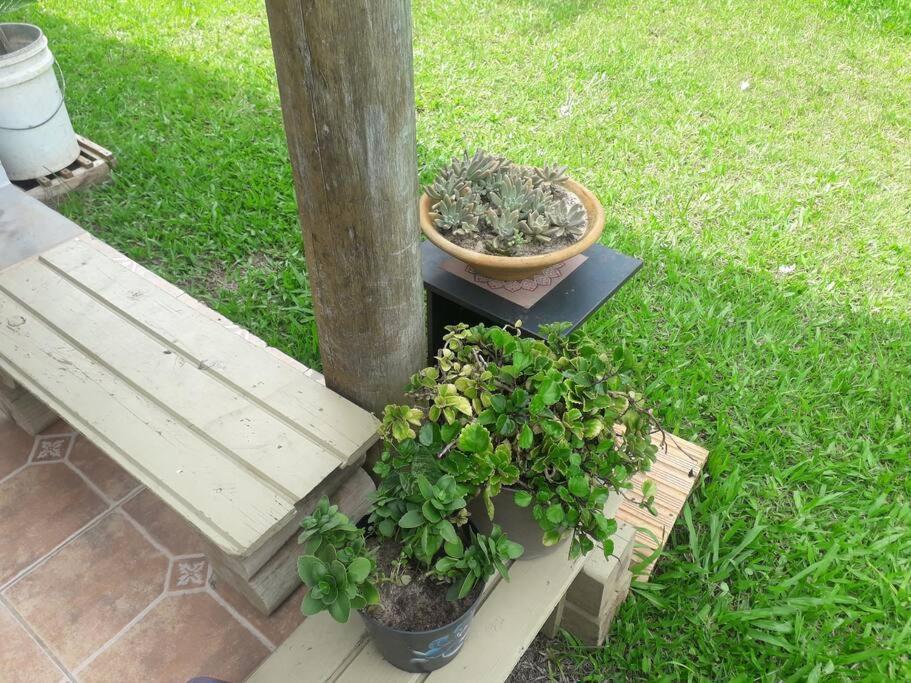 Casa Proximo A Praias, Trilhas E Cachoeiras. Garopaba Ngoại thất bức ảnh
