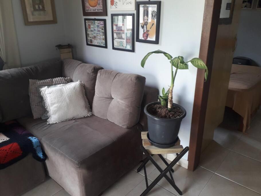 Casa Proximo A Praias, Trilhas E Cachoeiras. Garopaba Ngoại thất bức ảnh